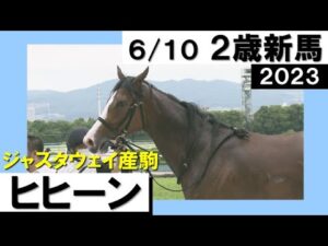 【2023年の新馬戦がスタート！】実況：岡安譲 [カンテレ公式]