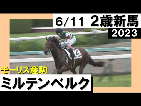 「モーリス産駒ミルテンベルク完勝です！」実況：川島壮雄 [カンテレ公式]  2023年新馬戦