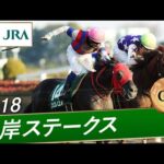 2018年 根岸ステークス(GⅢ) | ノンコノユメ | JRA公式