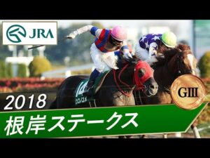 2018年 根岸ステークス（GⅢ） | ノンコノユメ | JRA公式
