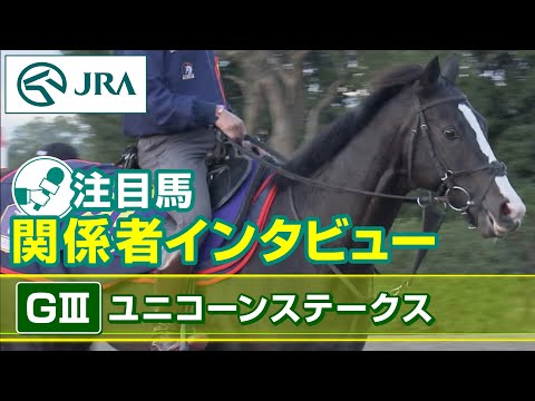 【注目馬 関係者インタビュー】2023年 ユニコーンステークス｜JRA公式