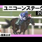 2023年 ユニコーンステークス (GⅢ) ぺリエール【カンテレ公式】
