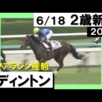 「素晴らしい脚を見せました！」実況：川島壮雄 [カンテレ公式] 2023年新馬戦