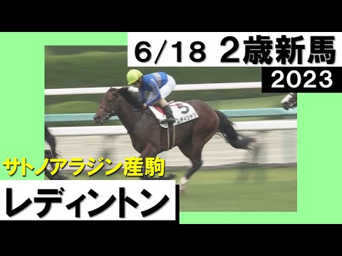 「素晴らしい脚を見せました！」実況：川島壮雄 [カンテレ公式] 2023年新馬戦