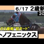 【サトノフェニックスが４馬身差で快勝！】実況：岡安譲 [カンテレ公式] 2023年新馬戦