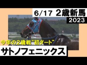 【サトノフェニックスが４馬身差で快勝！】実況：岡安譲 [カンテレ公式] 2023年新馬戦