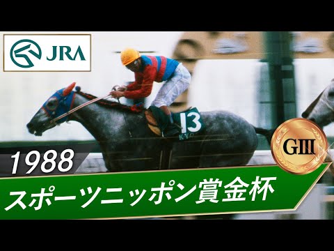 1988年 スポーツニッポン賞金杯（GⅢ） | タマモクロス | JRA公式