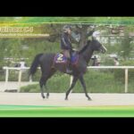 2023 Takarazuka Kinen (G1) Training Report | JRA Official [ENG sub]