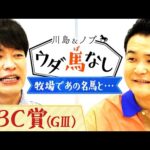 夏は競馬仲間と北海道の牧場見学!川島とノブが出会った名馬の思い出!さらに今年の計画とは…?【川島&ノブ ウダ馬なし】