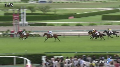 【競馬】ヒヒーンが新馬勝ち