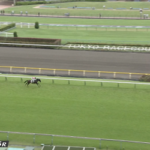 シュトラウス強すぎワロタ