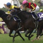 【競馬・宝塚記念】スルーセブンシーズの買い要素何???