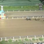 【競馬】東京ダービーで御神本騎乗のミックファイアが大楽勝で5連勝 無敗の2冠馬に