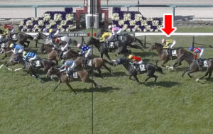 【鳴尾記念】1番人気12着ソーヴァリアントやっぱり弱すぎワロタｗｗｗ