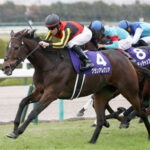 牝馬マイラー十傑を決めるスレ