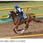 今村聖奈、初めての函館で調教騎乗 騎乗停止中も意欲的に技術磨く
