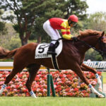 【競馬予想】[1]第30回函館スプリントステークス(GIII)