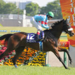 【顕彰馬】アーモンドアイの得票率70%→96% 選定制度そのものに疑問の声