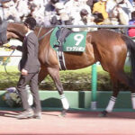 【競馬予想】[2]第28回マーメイドステークス(GIII) /2023