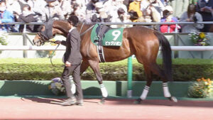 【競馬予想】[2]第28回マーメイドステークス(GIII) /2023