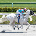 【2歳新馬】白毛アマンテビアンコ強すぎワロタ