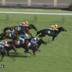 【エプソムカップ2023】出走予定馬・騎手/未来への活力を
