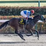 【競馬予想】第28回ユニコーンS(GIII) /2023