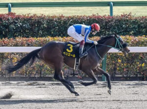 【競馬予想】第28回ユニコーンS(GIII) /2023