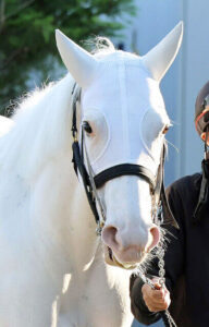 【安田記念】7着ソダシ川田 マイル戦で初の着外www