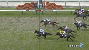 ●スルーセブンシーズは買えない