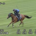 【函館スプリントステークス2023】追い切り/調教を見てわかる事