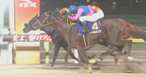 ●メイショウハリオ連覇達成