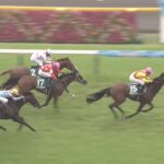 【エプソムカップ2023】結果・動画/ジャスティンカフェが人気に応え差し切る