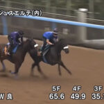 【2歳新馬】衝撃ラスト1F10秒7のルージュスエルテ出陣!結果は…