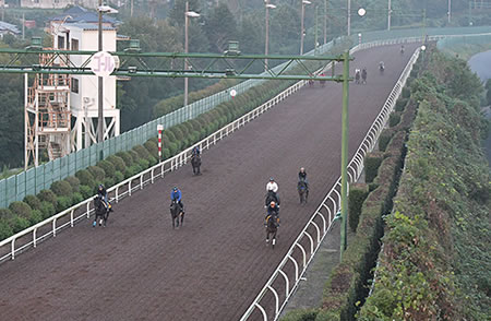 国枝厩舎の2歳牝馬ルージュスエルテの調教に報道陣ざわつく