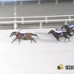 【北海道スプリントカップ2023】結果・動画/ケイアイドリーが颯爽と差し切る