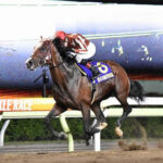 今年は地方ダート3歳が豊作な件
