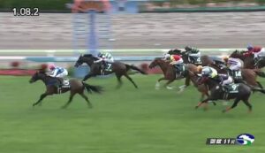 【競馬】函館スプリントＳは横山武騎乗のキミワクイーンがＶ