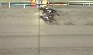 【競馬】帝王賞は浜中騎乗のメイショウハリオが史上初の連覇達成