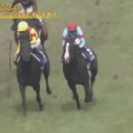 【競馬】宝塚記念 ジャスティンパレス鮫島克駿ムチを落とすも3着