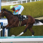 【競馬予想】第46回帝王賞(JpnI/大井) /2023