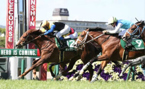 【鳴尾記念】7歳ボッケリーニがゴール前の混戦制しV！重賞３勝目