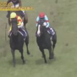 【競馬・宝塚記念】ジャスティンパレス鮫島克駿、直線でムチを落とすwwwwwwwww