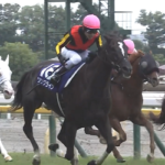 ●ソングライン 主な勝ち鞍VM、安田記念×2