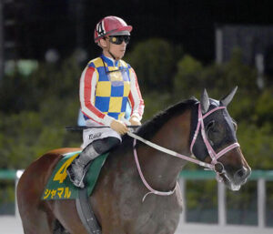 【さきたま杯】１番人気シャマル川田wwwwwww