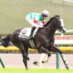 【2歳新馬】シュトラウス強すぎワロタ