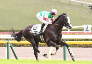 【2歳新馬】シュトラウス強すぎワロタ