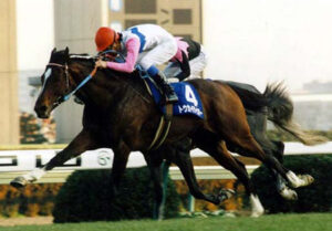 トウカイテイオーが種牡馬としてそんなに成功しなかったのが謎すぎる