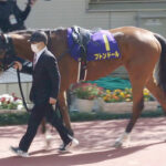 【競馬予想】[2]第30回函館スプリントステークス(GIII)