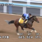 【鳴尾記念2023】追い切り/抜群の動きを見せたのは